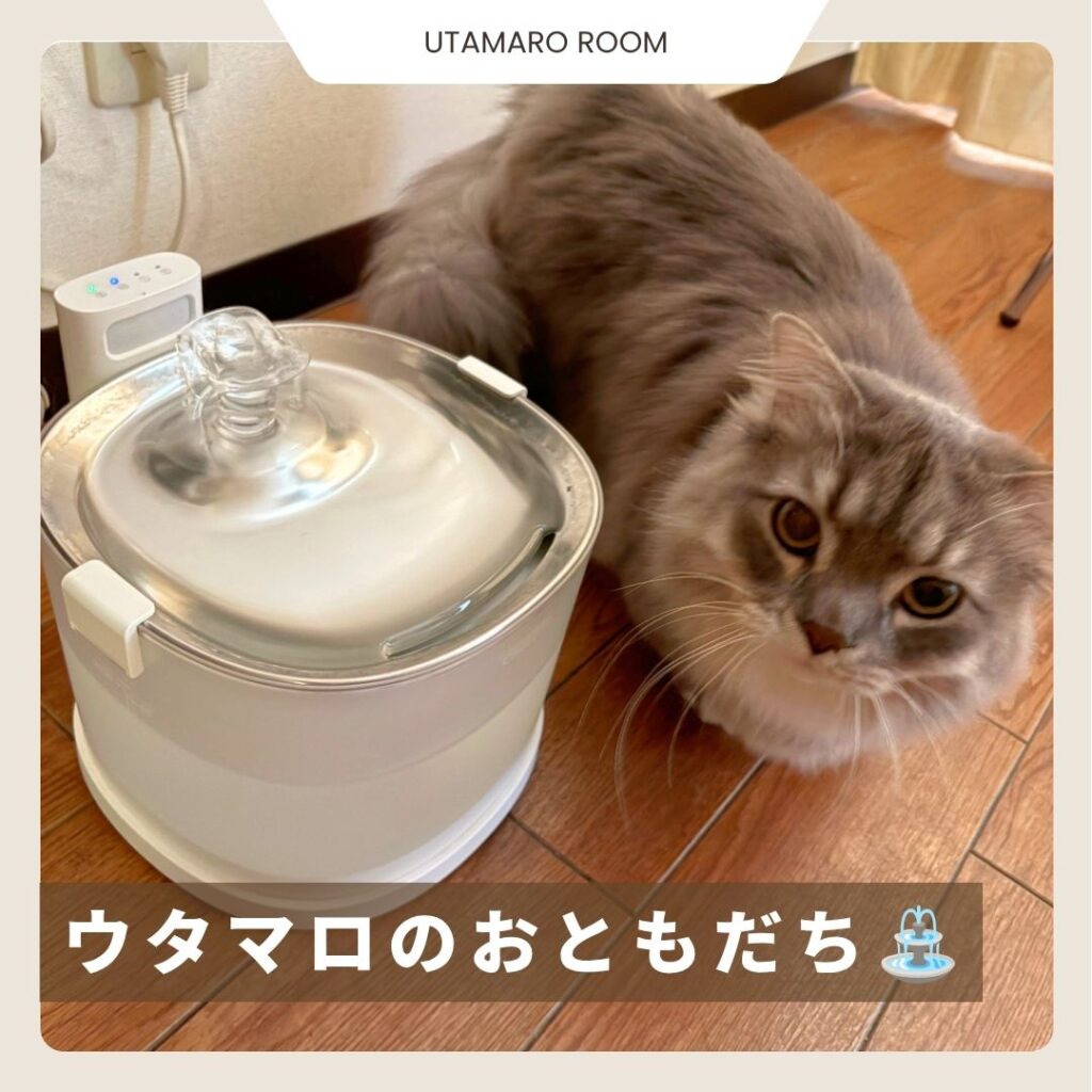Cheerble自動給水器を設置したところ