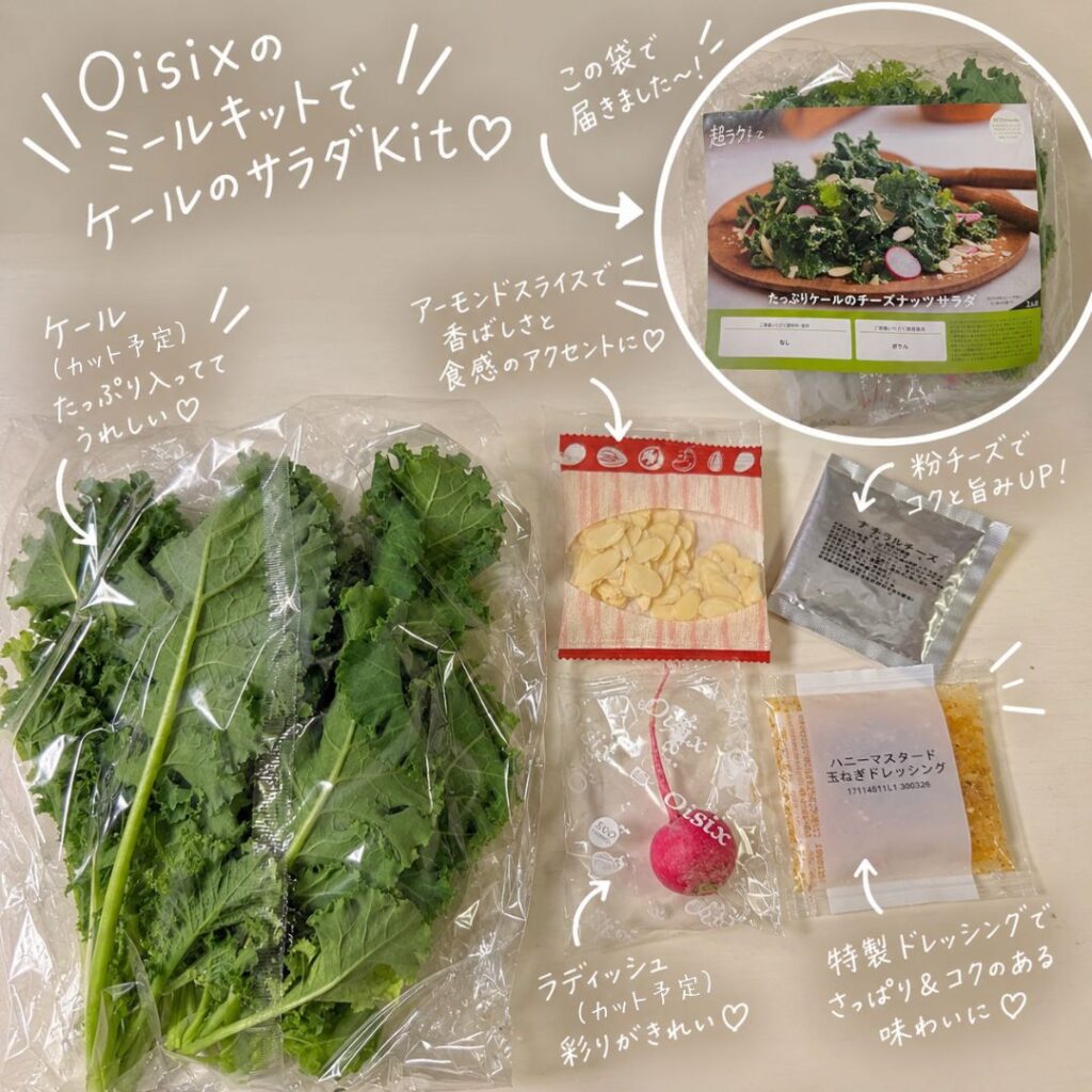 ケールのサラダのミールキットの中身