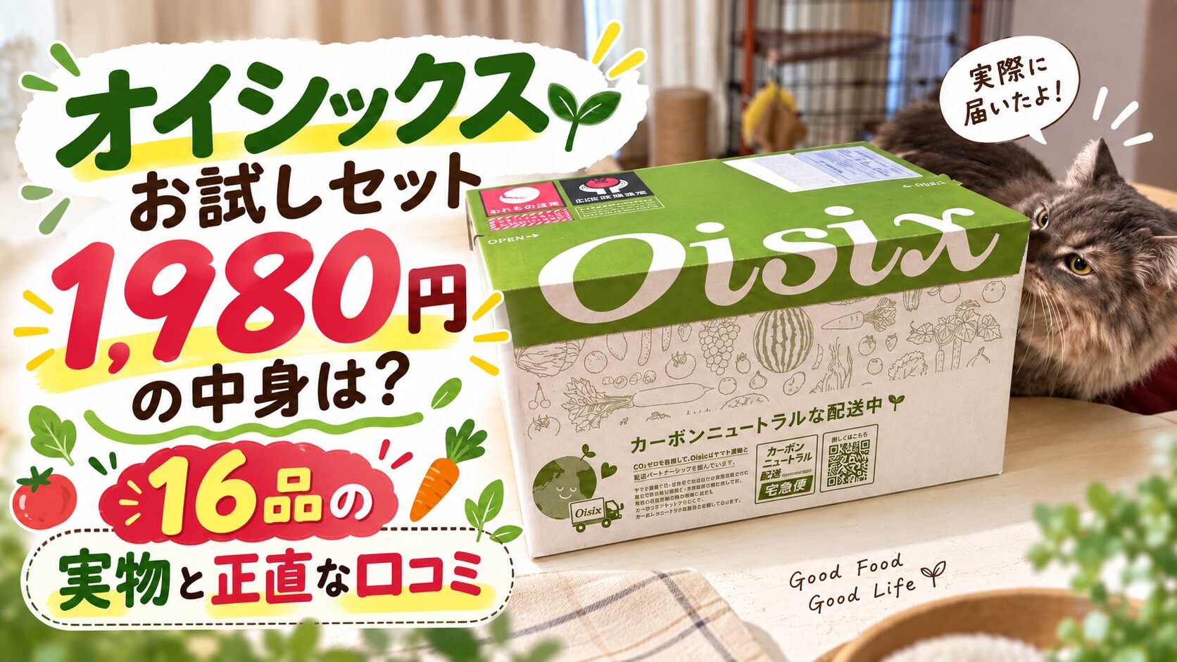 オイシックスお試しセット1980円の中身は？16品の実物と正直な口コミ