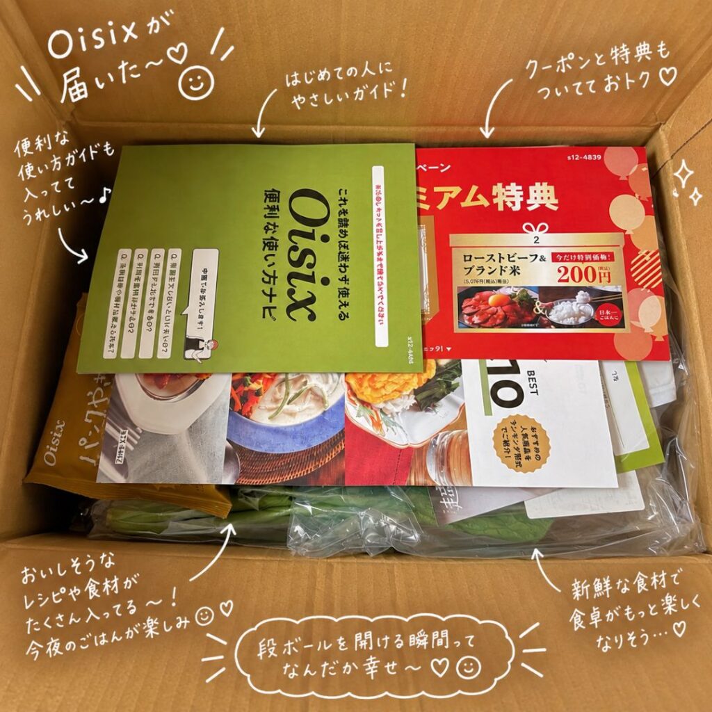 届いたオイシックスお試しセットの箱を開けたところ