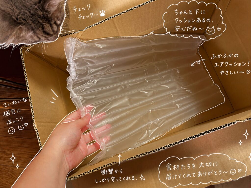 オイシックスお試しセットの段ボールの底に敷かれたエアクッション