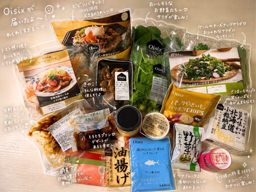 オイシックスお試しセットで届いた16品を並べた写真
