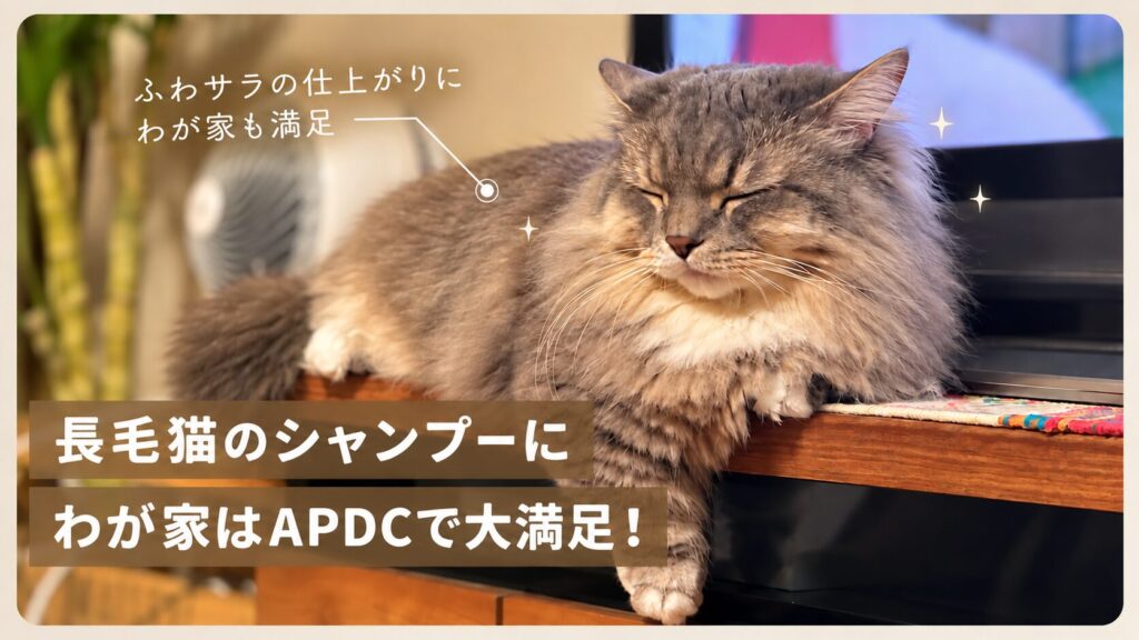 風呂上がりにくつろぐ猫ウタマロ